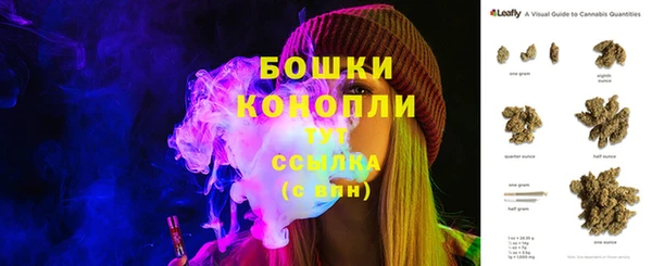 гашик Бронницы
