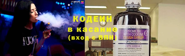 твердый Бородино