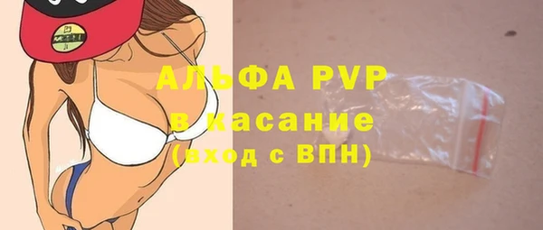 твердый Бородино