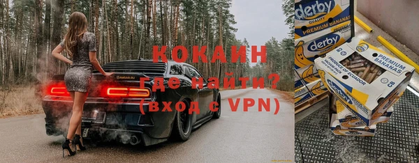 индика Верея