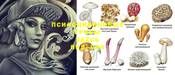 индика Верея