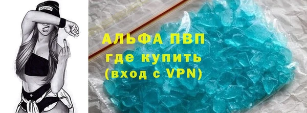 индика Верея